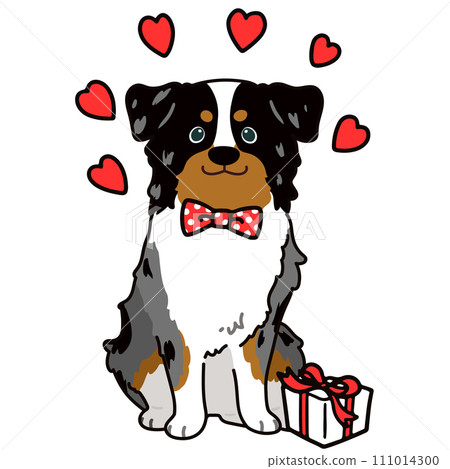 Simple and cute Australian Shepherd illustration for Valentine's Day Simple and cute Australian Shepherd illustration for Valentine's Day 111014300