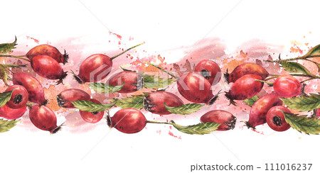 Branch of wild rosehips with red briar fruits, dog rose green leaves on watercolor stains splashes background Seamless border, pattern Hand drawn illustration for wallpaper, wrapping, fabric Isolated Branch of wild rosehips with red briar fruits, dog rose green leaves on watercolor stains splashes background Seamless border, pattern Hand drawn illustration for wallpaper, wrapping, fabric Isolated 111016237