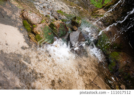 waterfall in the forest waterfall in the forest 111017512
