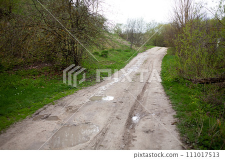 Country road. Eastern Europe wood. Country road. Eastern Europe wood. 111017513