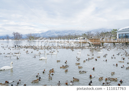 Niigata Hyoko (Agano City) Niigata Hyoko (Agano City) 111017763