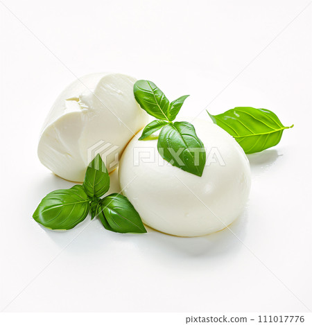 馬蘇里拉奶酪和羅勒 111017776