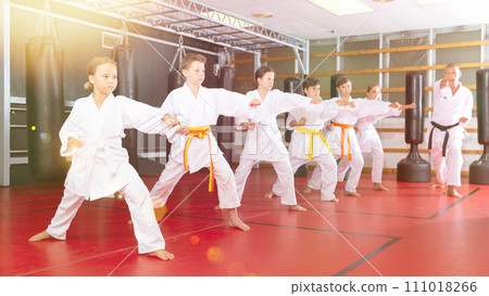 Schoolchilds practicing new technique in karate class Schoolchilds practicing new technique in karate class 111018266