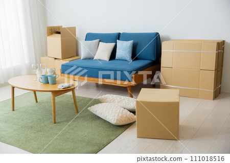 Living room preparing to move 111018516