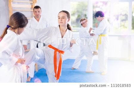 Group of children in kimono practicing karate in a sports gym. Martial arts training session Group of children in kimono practicing karate in a sports gym. Martial arts training session 111018583