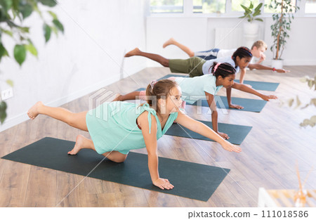 preteen girls and boys together in yoga pose upward facing dog at gym 111018586