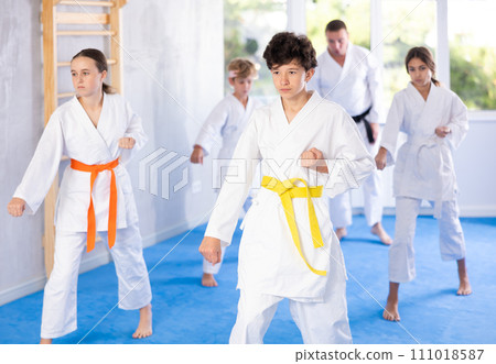Group of children train karate techniques Group of children train karate techniques 111018587