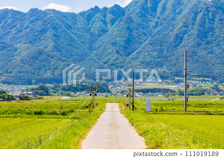 Early summer in Ueda City, Nagano Prefecture, peaceful Shiodadaira 111019189