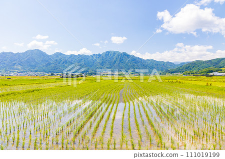 Early summer in Ueda City, Nagano Prefecture, peaceful Shiodadaira 111019199