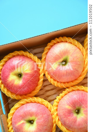 beautiful pink apple in the box on blue background 111019502