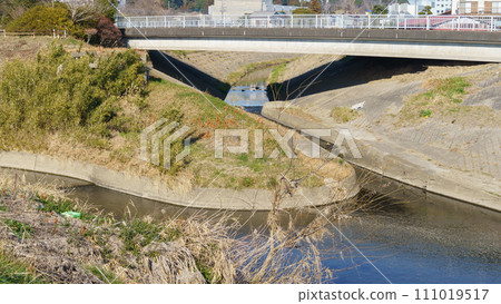 【千葉縣茂原市】茂原橋和一宮川、豐田川的分支風景 111019517