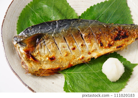 與鹽的烤鯖魚 與鹽的烤鯖魚 111020183