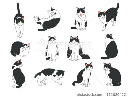 Simple and cute cat illustration set Simple and cute cat illustration set 111020422