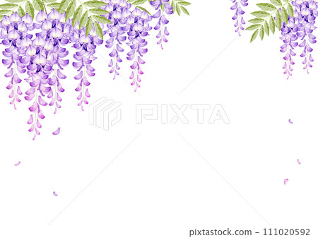 紫藤花背景框架水彩插圖 紫藤花背景框架水彩插圖 111020592