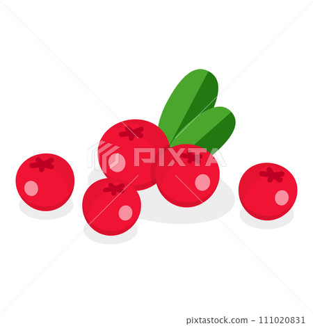 3D Isometric Flat Vector Set of Medical Herbs And Berries. Item 6 111020831