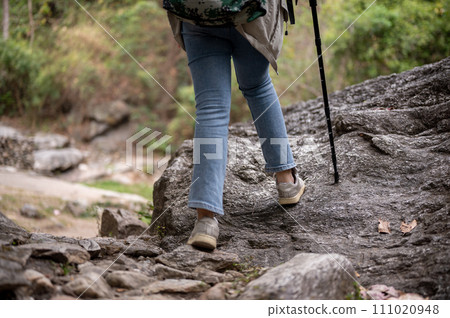 Close-up legs image of a woman is hiking with a trekking pole on the rock mountain. 111020948