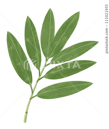 竹葉的向量圖解 竹葉的向量圖解 111021935