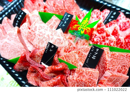 Assortment of high-class yakiniku 111022022