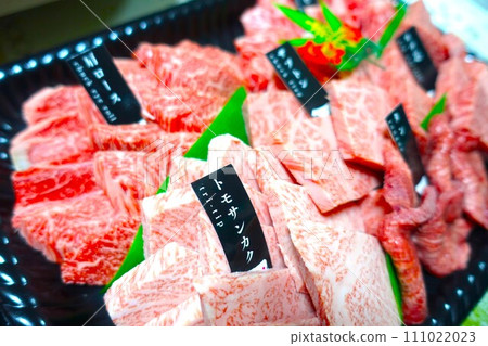 Assortment of high-class yakiniku 111022023