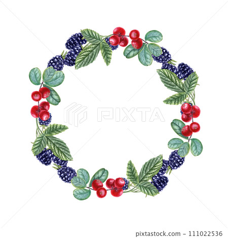 Bearberry and blackberries with leaves. Wreath of forest ripe berries, leaf. Cowberries, bramble. Watercolor illustration for the design of invitation, cards, package design, labels 111022536
