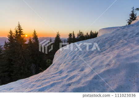 Fantastic view of evening in winter mountains. Dark green tops of pine trees behind snowy hill and first bright star in quiet blue sky with orange glow over horizon. Breathtaking beauty of nature. 111023036