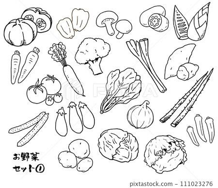 Vegetable set ① line drawing 111023276