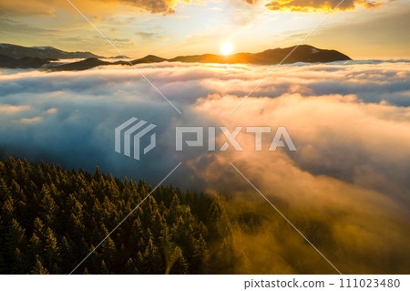 Aerial view of vibrant sunrise over mountain hills covered with evergreen spruce forest in autumn. 111023480