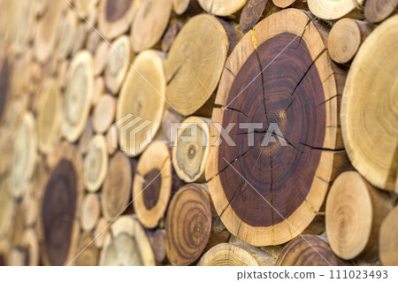 Perspective view of round wooden unpainted solid natural ecological soft colored brown and yellow crackled stumps background, tree cut sections with annual rings different sizes,background texture. Perspective view of round wooden unpainted solid natural ecological soft colored brown and yellow crackled stumps background, tree cut sections with annual rings different sizes,background texture. 111023493