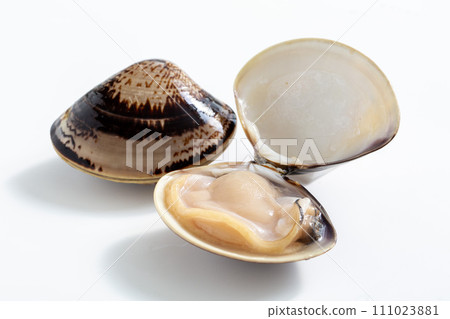 國產蛤蜊，真正的蛤蜊，桑名蛤，去皮，生，生魚片 111023881