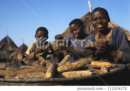 AI-generated content. Joyful harvest in African village 111024278