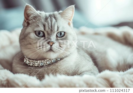 AI-generated content. Regal cat adorned with diamonds 111024317