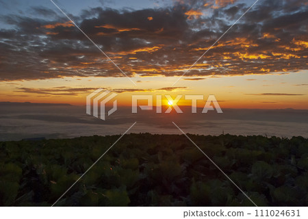 Scenic view dramatic beautiful sunset sky. Natural Sunset Sunrise on meadow silhouette shadow dark land. Vibrant dramatic sky on sunset, dawn, sunrise in Countryside. Landscape Colorful Sky At Sunset 111024631