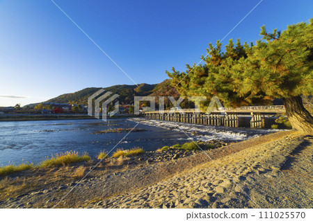 Scenery of Katsuragawa River and Togetsukyo Bridge in Kyoto [Autumn image] 111025570
