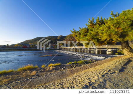 Scenery of Katsuragawa River and Togetsukyo Bridge in Kyoto [Autumn image] 111025571