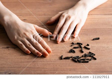 Hihatsu and table image at hand Hihatsu and table image at hand 111027011