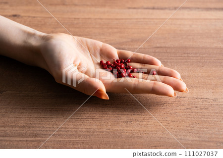 palm with pink pepper palm with pink pepper 111027037