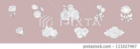 Lush Rose Flower Bud on Stem as Garden Flora Vector Set 111027467