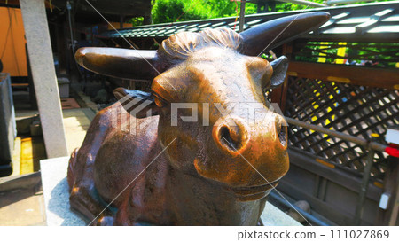 Scenery of the bull statue at Yushima Tenjin in Yushima, Bunkyo Ward, Tokyo Scenery of the bull statue at Yushima Tenjin in Yushima, Bunkyo Ward, Tokyo 111027869