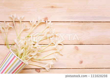 Kasalong flower or Millingtonia hortensis flower is blooming in paper cup. Kasalong flower or Millingtonia hortensis flower is blooming in paper cup. 111028208