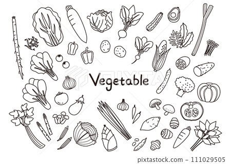 Line drawing illustration set of various vegetables Line drawing illustration set of various vegetables 111029505