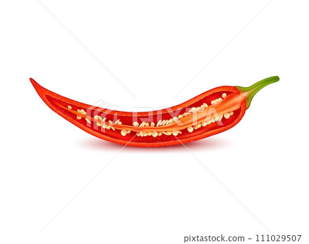 Realistic raw isolated half chili pepper. Isolated 3d vector longitudinal section of chilly or jalapeno pod with fiery seeds cluster amidst placental tissue delivering intense heat and spice to dishes Realistic raw isolated half chili pepper. Isolated 3d vector longitudinal section of chilly or jalapeno pod with fiery seeds cluster amidst placental tissue delivering intense heat and spice to dishes 111029507