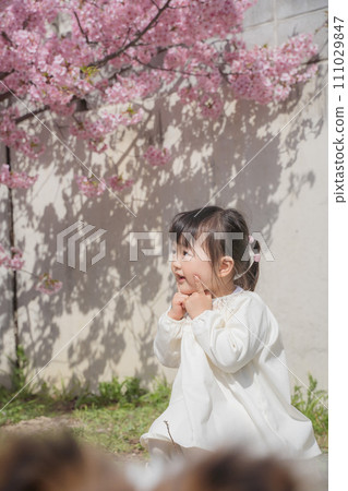 女孩在櫻花公園玩 111029847