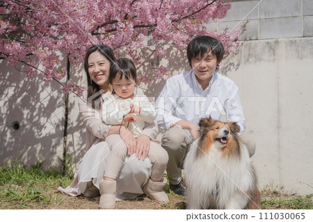 Young couple and child walking their dog 111030065