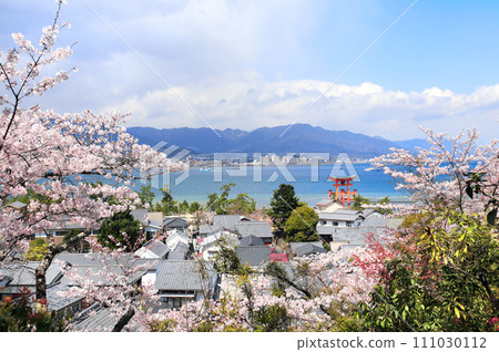 Aerial view on floating Torii gate and blooming sakura trees, Itsukushima Shrine, Miyajima island, Hiroshima, Japan. Traditional japanese hanami festival. Spring cherry blossoming season in Asia Aerial view on floating Torii gate and blooming sakura trees, Itsukushima Shrine, Miyajima island, Hiroshima, Japan. Traditional japanese hanami festival. Spring cherry blossoming season in Asia 111030112
