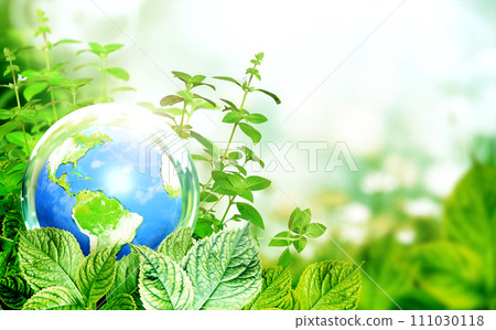 Earth in glass ball on green leaves. Ecology, go green and zero waste concept. Environmental and conservation protection background. Sunny summer backdrop with globe and plants 111030118