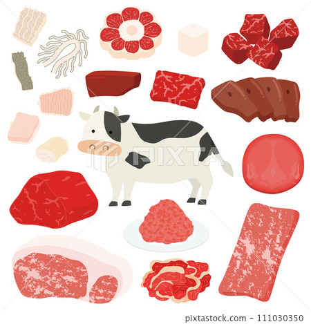 Beef illustration set 111030350
