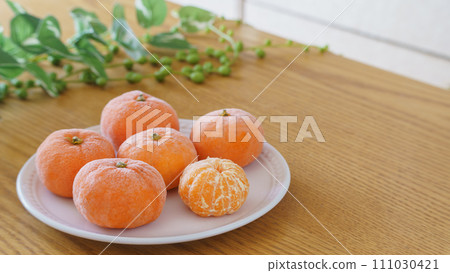 冷凍橙子影像 111030421