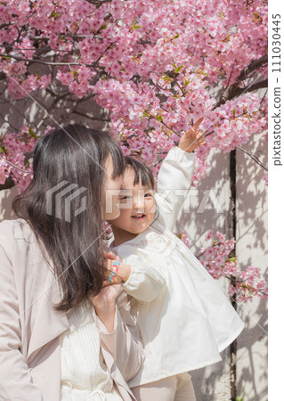 Girls looking at cherry blossoms Girls looking at cherry blossoms 111030445