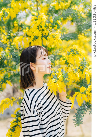 Mimosa and young woman Mimosa and young woman 111030465