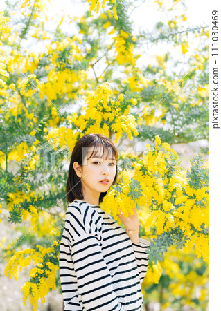 Mimosa and young woman Mimosa and young woman 111030469